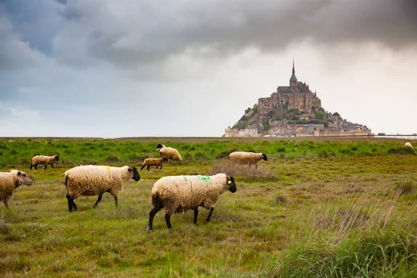 Mont Saint Michel Basse Normandie France — Photo