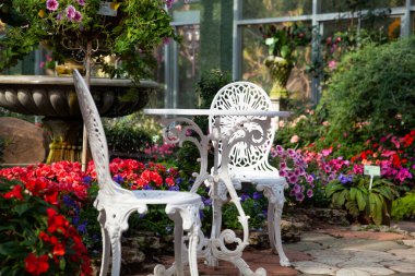 Egzotik bahçede beyaz sandalyeler