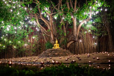 CHIANG MAI THAILANDAN 19 Şubat 2019: Chiangmai 'de Makha bucha günü kutlamaları