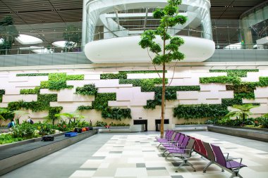 Havaalanında tropikal bitkiler bulunan bagaj teslim alanı