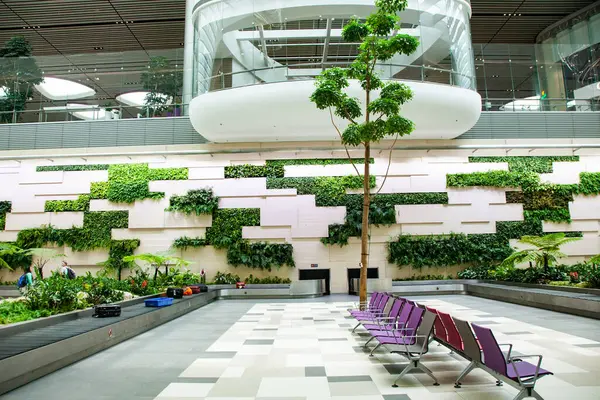 Havaalanında tropikal bitkiler bulunan bagaj teslim alanı