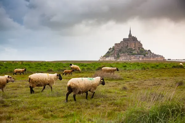 Mont Saint-Michel, Basse-Normandie, Fransa