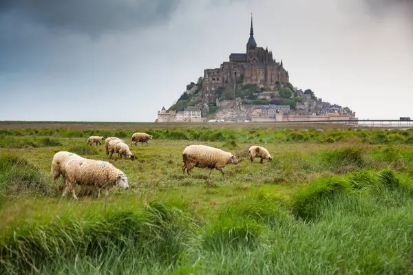 Mont Saint Michel Basse Normandie Francja — Zdjęcie stockowe