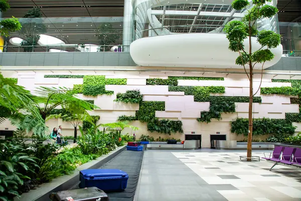 空港の熱帯植物が付いている荷物のクレーム区域 ロイヤリティフリーのストック画像