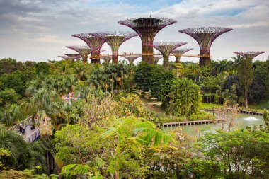 Hala Singapur 'daki Marina Körfezi bahçesinde.