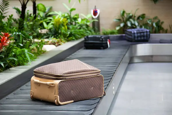 Luggage Claim Area Tropical Plants Airport — Stock Photo, Image