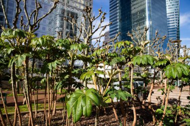 PARIS, FRANCE - 30 Mart 2024: La Defense, Paris, Fransa 'daki modern iş binaları