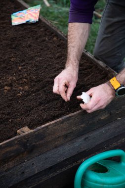 Yetiştirilmiş bir yatak bahçesine tohum ekiyorum.