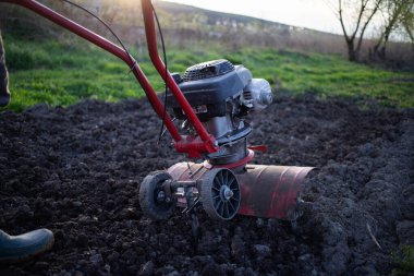 Organik çiftçiler gün batımında toprağı sürerler. Bir dümenciyle toprağı ekime hazırlarlar.