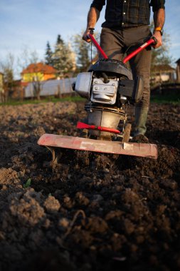Organik çiftçiler gün batımında toprağı sürerler. Bir dümenciyle toprağı ekime hazırlarlar.