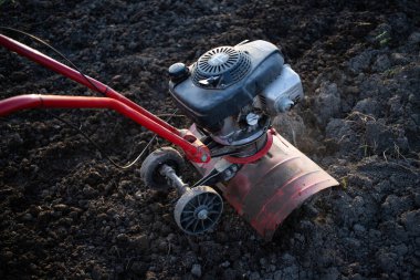 Organik çiftçiler gün batımında toprağı sürerler. Bir dümenciyle toprağı ekime hazırlarlar.