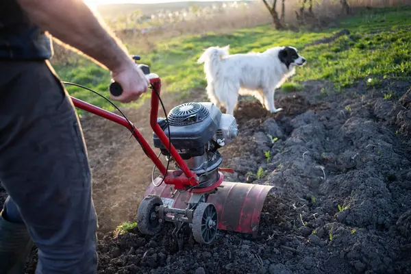 Organic Farming Man Ploughs Ground Sunset Tiller Preparing Soil Sowing — Stock Photo, Image