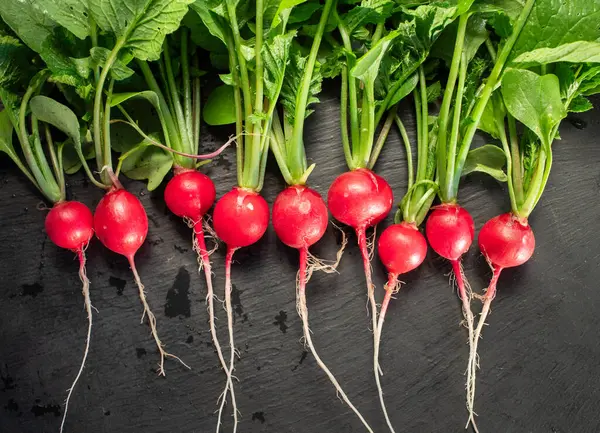 Organic Red Radishes Freshly Collected Garden Stock Photo