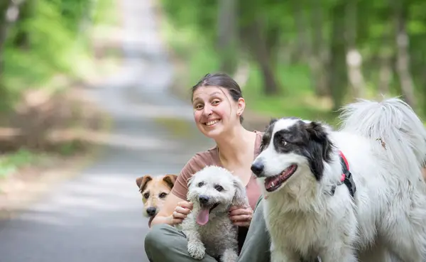 Donna Felice Con Suoi Cani Nella Foresta Foto Stock Royalty Free