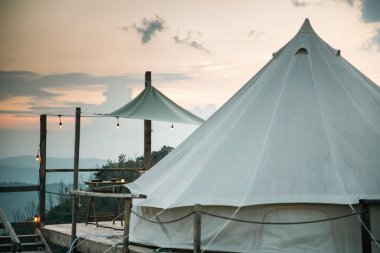 Bir köpekle kamp yapmak ya da cazibe