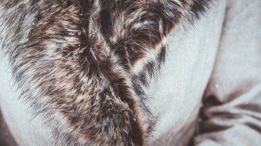 Kadın elinde bir yığın Noel hediyesi kutusuyla eve dönüyor.