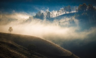 Dağlardaki inanılmaz sisli sonbahar manzarası