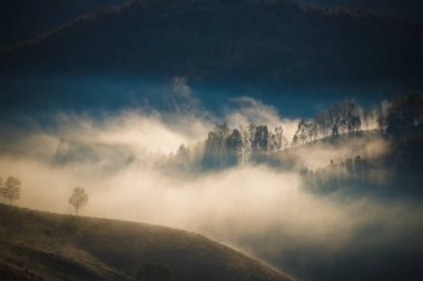 Dağlardaki inanılmaz sisli sonbahar manzarası