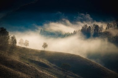 Dağlardaki inanılmaz sisli sonbahar manzarası