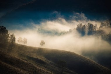 Dağlardaki inanılmaz sisli sonbahar manzarası