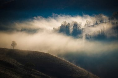 Dağlardaki inanılmaz sisli sonbahar manzarası