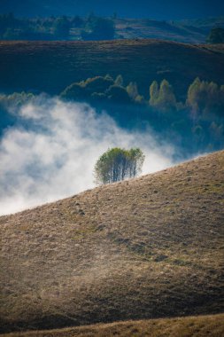 Dağlardaki inanılmaz sisli sonbahar manzarası
