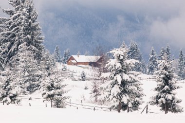Dağlarda kış - Karpatların küçük Romen köyü karla kaplı