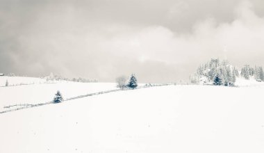 Dağlarda kış - Karpatların küçük Romen köyü karla kaplı