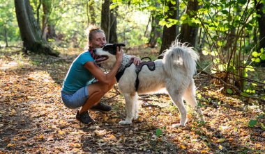 Mutlu beyaz köpek bahar ormanında oynuyor.