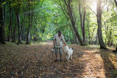 Mutlu beyaz köpek bahar ormanında oynuyor.