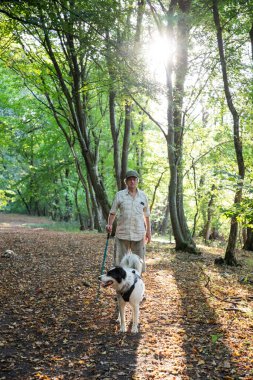 Mutlu beyaz köpek bahar ormanında oynuyor.