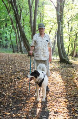 Mutlu beyaz köpek bahar ormanında oynuyor.