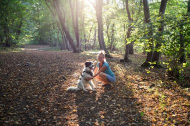 Mutlu beyaz köpek bahar ormanında oynuyor.