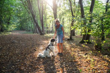 Mutlu beyaz köpek bahar ormanında oynuyor.