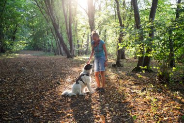 Mutlu beyaz köpek bahar ormanında oynuyor.