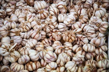 Canlı bir tropik meyve pazarında egzotik meyveler ve canlı bir atmosfer.