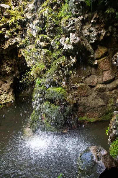 Regaleira Sarayı veya Quinta da Regaleira, Portekiz 'in Sintra şehrinde yer alan bir Gotik quinta.