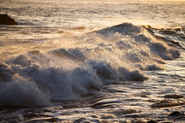 Madeira, Portekiz 'in kayalarıyla dolu dramatik kıyı şeridi