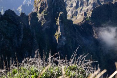 Portekiz 'in Madeira adasının en yüksek noktası olan Arieiro tepesi yakınlarındaki dağ ve kayaların manzarası