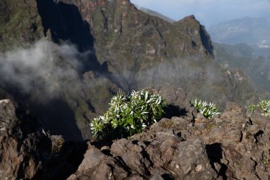 Portekiz 'in Madeira adasının en yüksek noktası olan Arieiro tepesi yakınlarındaki dağ ve kayaların manzarası