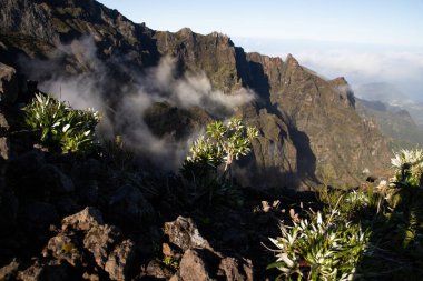 Portekiz 'in Madeira adasının en yüksek noktası olan Arieiro tepesi yakınlarındaki dağ ve kayaların manzarası