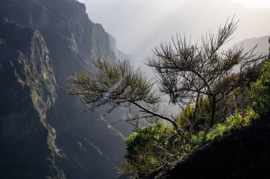 Portekiz 'in Madeira adasının en yüksek noktası olan Arieiro tepesi yakınlarındaki dağ ve kayaların manzarası