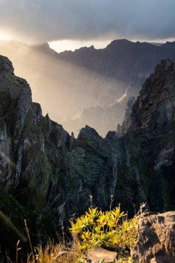 Portekiz 'in Madeira adasının en yüksek noktası olan Arieiro tepesi yakınlarındaki dağ ve kayaların manzarası