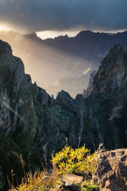 Portekiz 'in Madeira adasının en yüksek noktası olan Arieiro tepesi yakınlarındaki dağ ve kayaların manzarası
