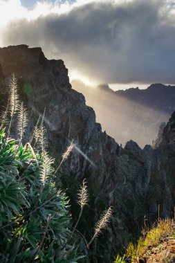 Portekiz 'in Madeira adasının en yüksek noktası olan Arieiro tepesi yakınlarındaki dağ ve kayaların manzarası