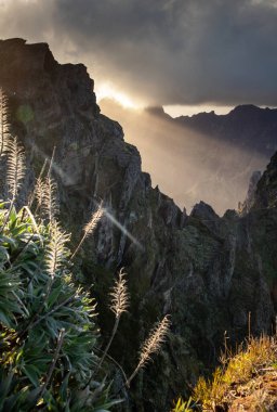 Portekiz 'in Madeira adasının en yüksek noktası olan Arieiro tepesi yakınlarındaki dağ ve kayaların manzarası