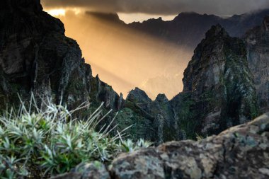 Portekiz 'in Madeira adasının en yüksek noktası olan Arieiro tepesi yakınlarındaki dağ ve kayaların manzarası