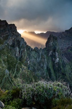 Portekiz 'in Madeira adasının en yüksek noktası olan Arieiro tepesi yakınlarındaki dağ ve kayaların manzarası