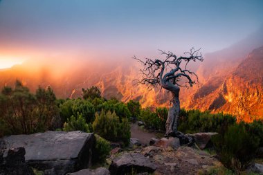 Portekiz 'in Madeira adasının en yüksek noktası olan Arieiro tepesi yakınlarındaki dağ ve kayaların manzarası