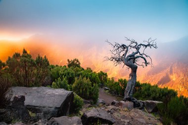 Portekiz 'in Madeira adasının en yüksek noktası olan Arieiro tepesi yakınlarındaki dağ ve kayaların manzarası